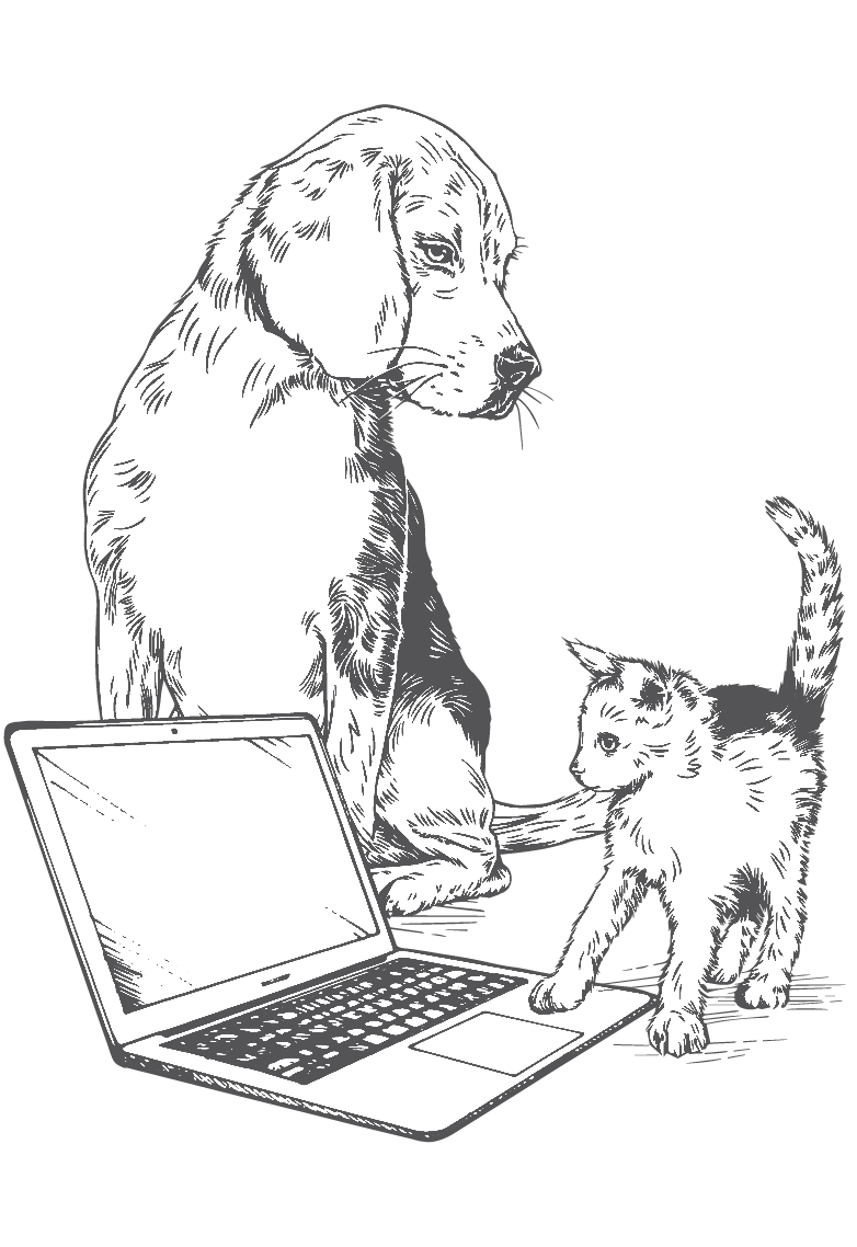 MudBay dog cat laptop